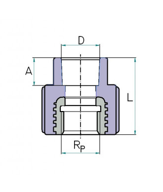 На фото Hi-Therm PP-R female threaded adaptor